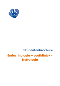 Studentenbrochure Endocrinologie – voetkliniek