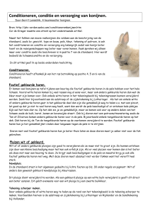 Conditioneren, conditie en verzorging van konijnen.
