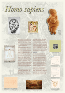 07. Homo sapiens - TU Delft Medewerkers