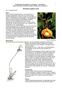 1 Nederlandse Orchideeën Vereniging – Orchitheek Uitgave