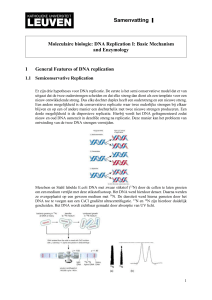 Priming of DNA Synthesis