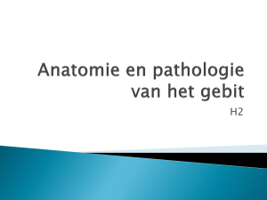 Anatomie en pathologie van het gebit