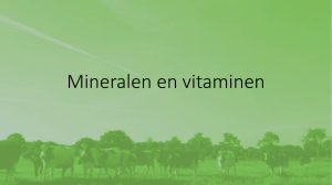 Mineralen en vitaminen