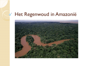 Het Regenwoud in Amazonië