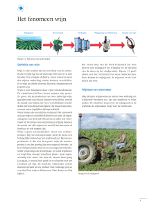 Het fenomeen wijn.qxd:Layout 2