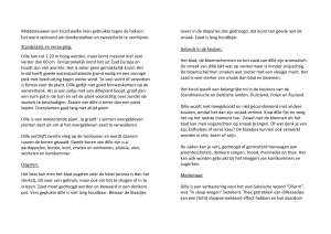 www.emmen.groei.nl. Dille