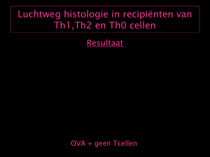 Luchtweg histologie in recipiënten van Th1,Th2 en Th0 cellen