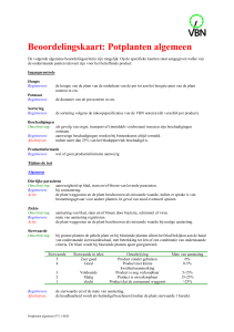 Potplanten Algemeen