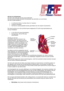 Hart - Fysio Fitness Fincken