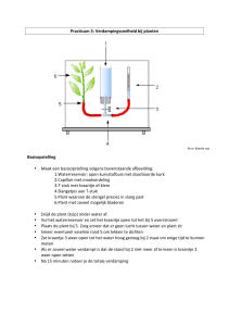 Practicum 3: Verdampingssnelheid bij planten