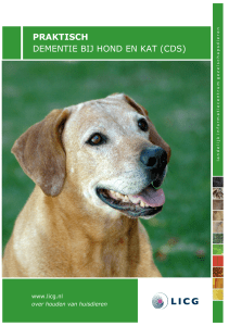 Dementie bij hond en kat (CDS)