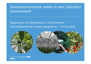 Presentatie Anja Dieleman Meten fotosynthese 150518