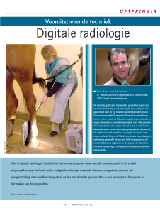 Digitale radiologie - Dierenartsenpraktijk Moergestel