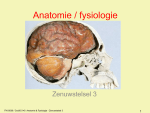 Toegepaste anatomie en fysiologie