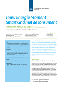 Jouw Energie Moment Smart Grid met de consument