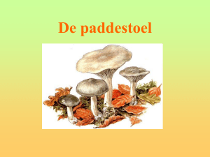 De paddestoel - Digitaal Leren