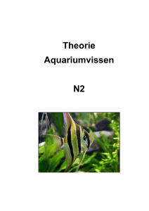 Theorie Aquariumvissen N2
