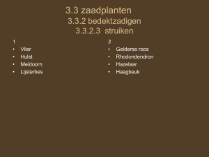3.3 zaadplanten 3.3.2 bedektzadigen 3.3.2.3 struiken