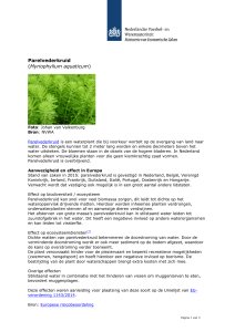 `Parelvederkruid (Myriophyllum aquaticum)` PDF document