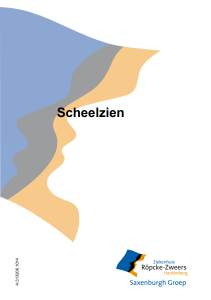 Scheelzien