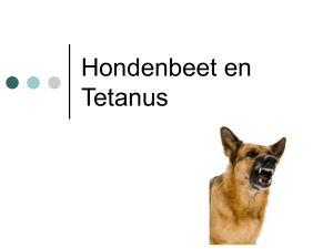 Hondenbeet en Tetanus