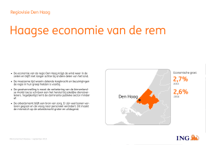 Haagse economie van de rem