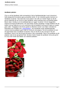 Aardbeien planten - Online tuinieren