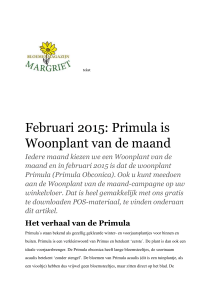 Februari 2015: Primula is Woonplant van de maand