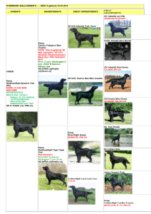 Breed Mate 4 Generation Pedigree