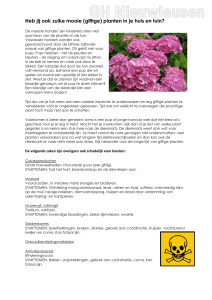 Giftige planten voor je hond
