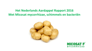 Het Nederlands Aardappel Rapport 2016 Met Micosat mycorrhizae