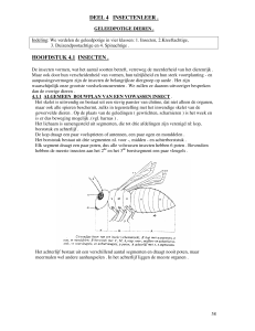 DEEL 4 INSECTENLEER . HOOFDSTUK 4.1 INSECTEN .