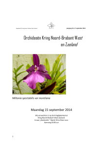 Welkom bij Orchideeën Kring Noord Brabant West en Zeeland