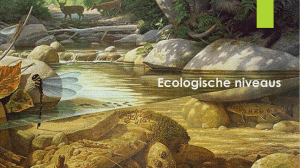 Ecosystemen ecologie water