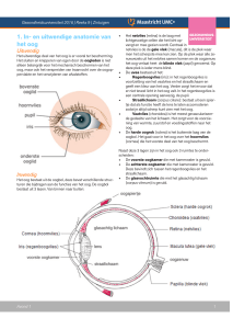 1. In- en uitwendige anatomie van het oog
