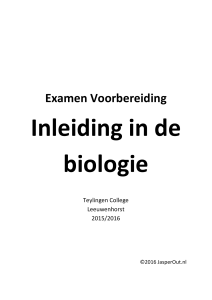 Examen Tips - Jasperout.nl