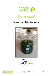 Experiment Groei Spirulina