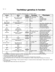 Vachtkleur genetica in honden