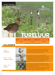 Tureluur-factsheet-soorten DEF.indd