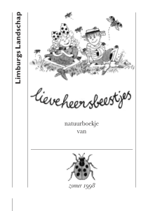 Lieveheersbeestjes - Limburgs Landschap