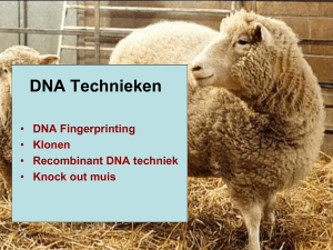 DNA Technieken - Biologiepagina