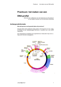DNA-profiel