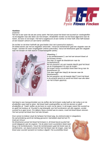 Hartfalen - Fysio Fitness Fincken