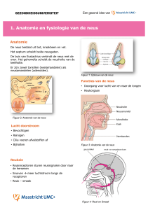 1. Anatomie en fysiologie van de neus
