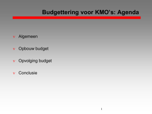Budgettering voor KMO`s: Opbouw