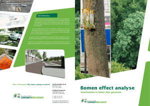 Bomen effect analyse - Alles over Groenbeheer