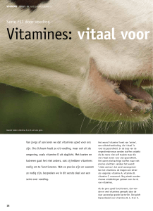 Vitamines: vitaal voor functionere - Wageningen UR E