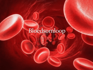 Bloedsomloop - Kiwi Biologie