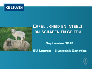 Inteelt - KU Leuven