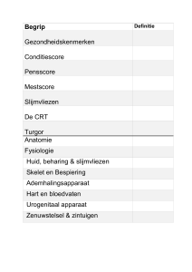 Begrippenlijst - Wikiwijs Maken